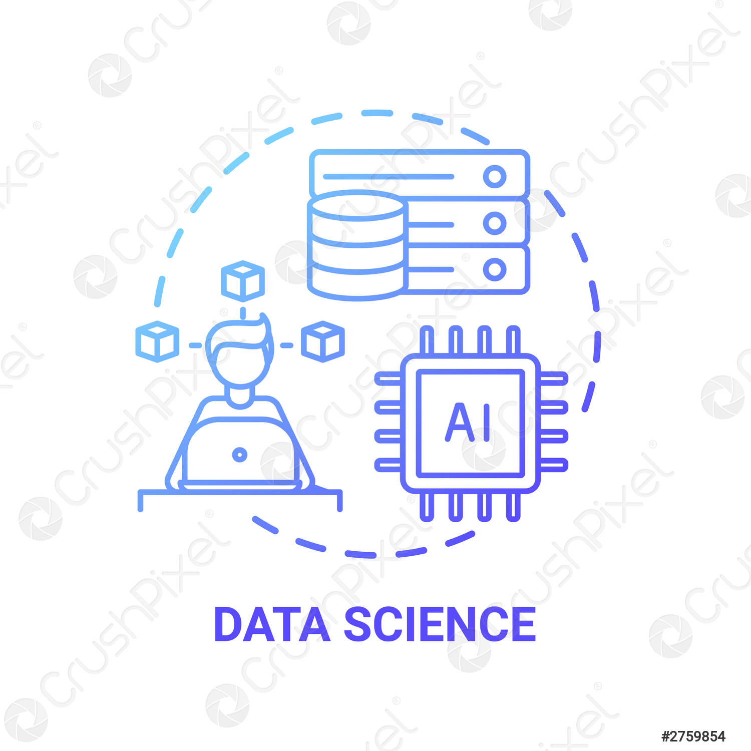 Data Scientist